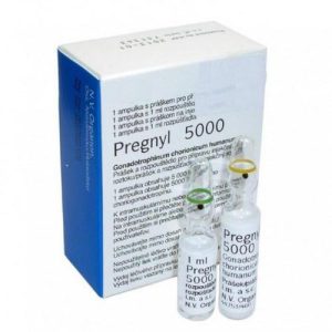 Pregnil - HCG 5000iu